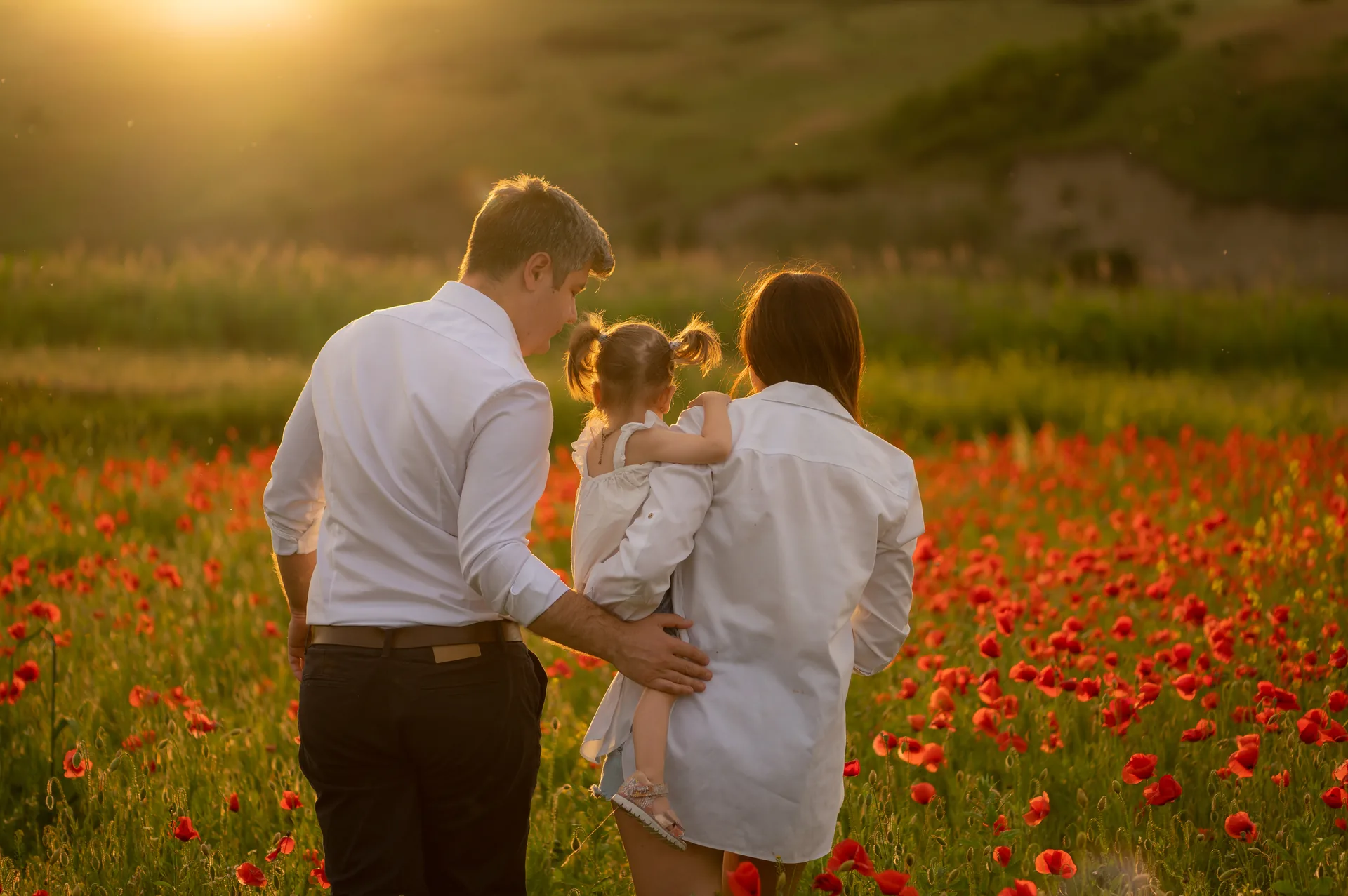 Ședință foto de familie la apus într-un lan de maci lângă Cluj-Napoca — părinții cu fetița în brațe, văzuți din spate, lumină caldă