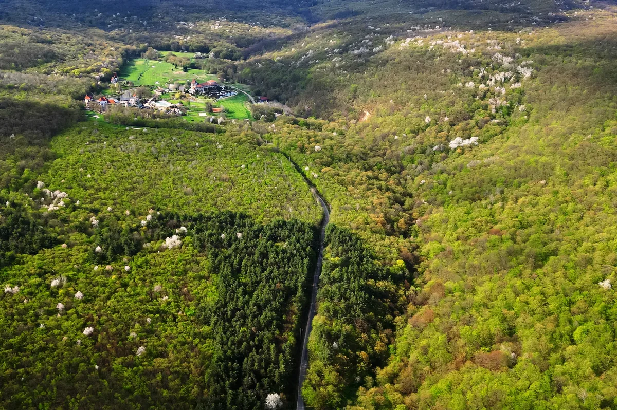 Vedere din dronă cu un resort de eveniment înconjurat de pădure, lângă Cluj-Napoca