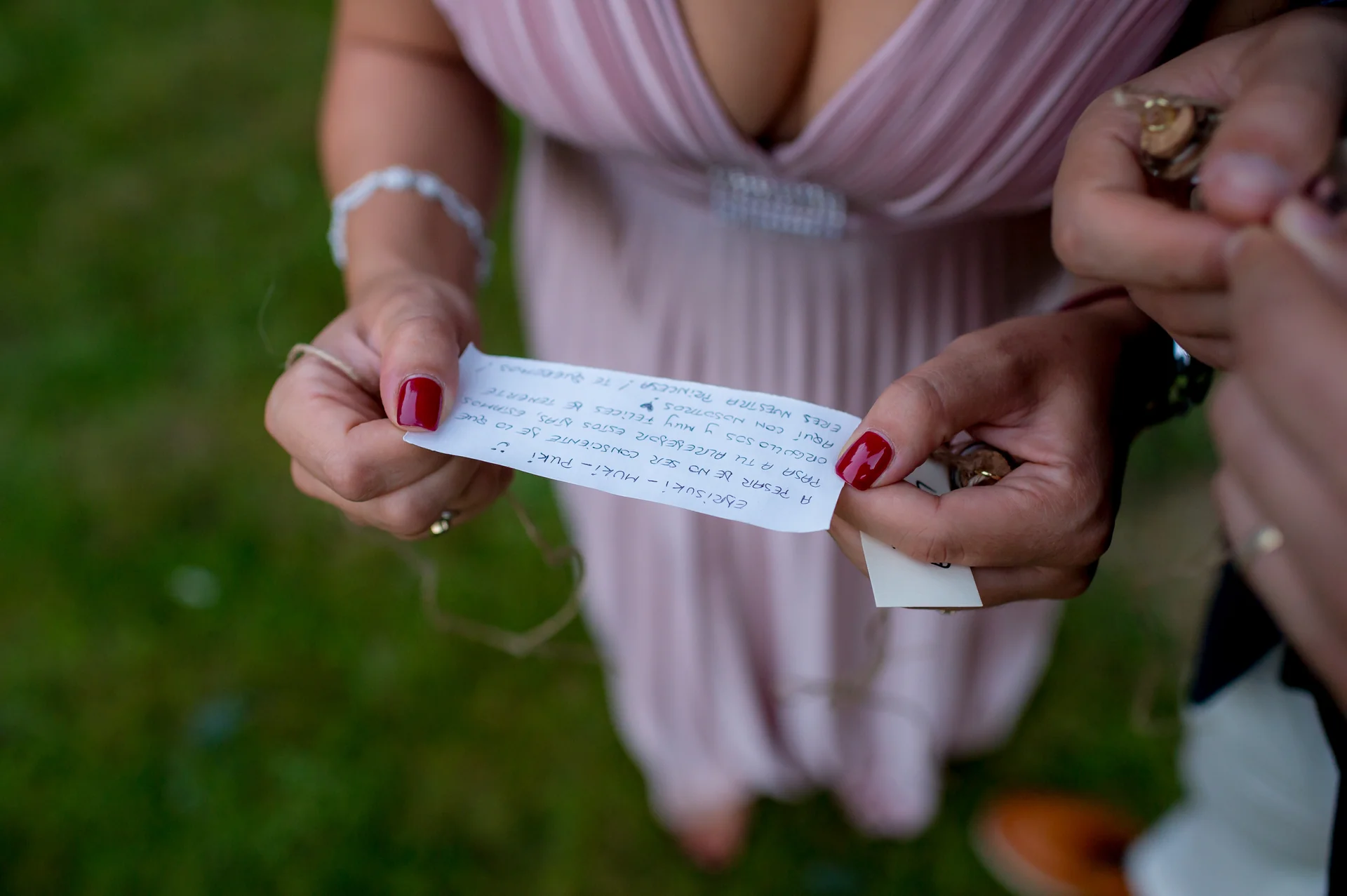 Raluca & Arnau — nunta Hadar Inima Pădurii Buzău miri intrare sala chalet lemn invitati aplauze — fotograf nuntă